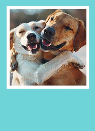 Dogs Biggest Birthday Hug Funny Birthday Card  Send someone special a personalized greeting card just in time for their birthday! | big dog hug greeting card birthday surprise to my best buddy  Happy Birthday to my buddy!
